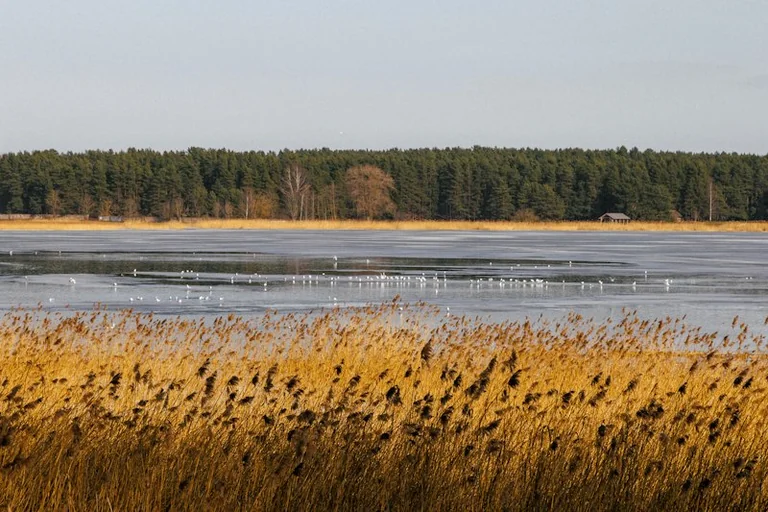 Rīgas pirmais rudens sals: vai līdz 31. oktobrim būs zem 0 °C?