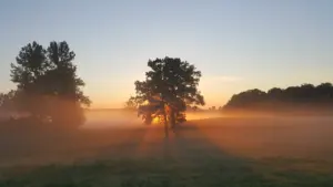 10. oktobra horoskops: mierīgs temps un skaidras sarunas