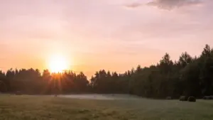 Rīta gaisma un celšanās laiks: rudens ritms Latvijā